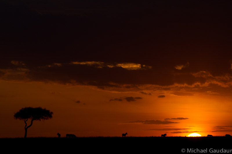 Masai Mara Sunset