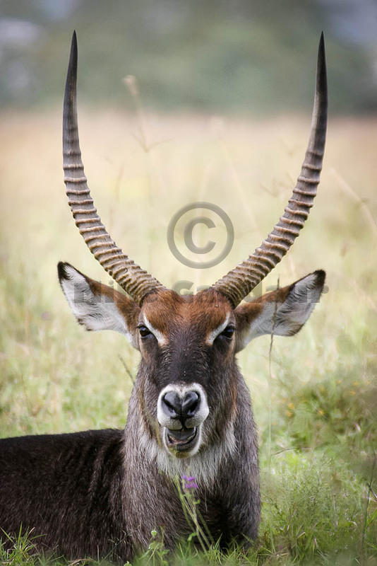 03 10 12 Nakuru 109 0999