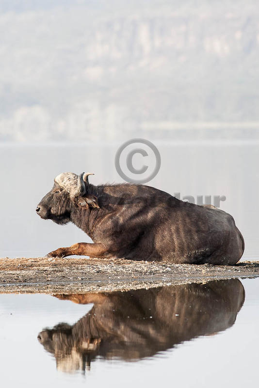 2012-3-15 Nakuru 07R7837