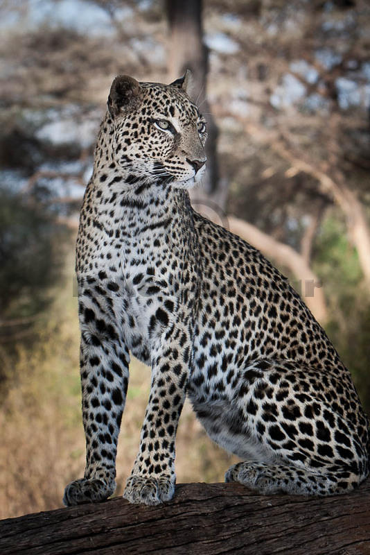  07 07 16 Samburu