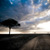 Masai Mara road with trees and clouds